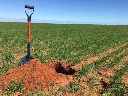 Dartmoor Farm 3042 35ac Of Impressive Soil Types With Great Potential Farmproperty Com Au Property 7780 Wa Yuna Farmpr Farm Australian Farm Types Of Soil