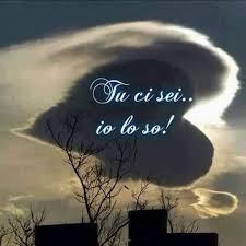 Pin Su Quotes