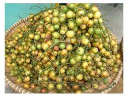 后来 (hòu lái) (english translation). 10 Jenis Buah Langka Didunia Steemit