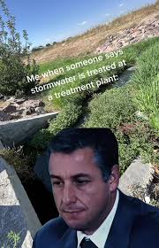 It is a common misconception that our stormwater flows are treated at a  treatment plant before entering into a river or lake. This is NOT true,  stormwater systems go directly into rivers, lakes and ...