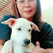 PCSO winning draw 2pm 5pm 9pm draws