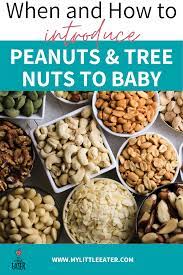 Serving Tree Nuts And Peanuts To Your 6 Month Old Baby Baby Food Recipes Food Allergies Eater