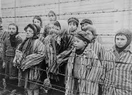 Un albo dolce, delicato e imponente che grazie alle illustrazioni di serena viola e alle parole di francesco guccini, veniamo trascinanti ad auschwitz per non dimenticare. Auschwitz Di Francesco Guccini Penso In Musica