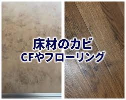 純閃堂