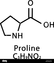 Proline molecular structure. Proline skeletal chemical formula. Chemical  molecular formula vector illustration Stock Vector Image & Art - Alamy