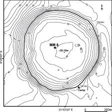 Image result for Kohautia microflora