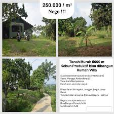 Rp 480.000 kavling viral jati indah transyogi bonus kebun jati emas. Tanah Kebun Sudah Ada Villa Seluas 5000 Meter Dijual Di Jonggol Www Nayyaproperti Com