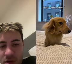 Eddie Bones (@bobmarley32)