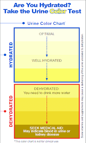 Dehydration Pee Color Chart Www Bedowntowndaytona Com