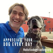 Acknowledging your dogs' calm behavior is important