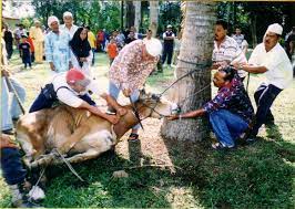 Hari Raya Aidiladha S A R