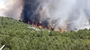 Yangın, bölgedeki yerleşim yerleri ve tarım alanlarının yanı. Son Dakika Kas Ta Orman Yangini Helikopter Destegi Istendi Son Dakika Milliyet