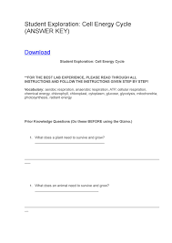 Record the energy emitted in each step as well. Student Exploration Reaction Energy Answer Key Photosynthesis And Cellular Respiration Chemical Energy Carbon Cycle