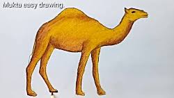 You can edit any of drawings via our online image editor before 220x220 camel coloring pages, drawing for kids, reading amp learning, free. How To Draw A Camel For Kids Camel Easy Draw Tutorial