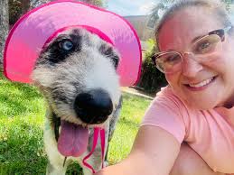 Need dog groomer recommendations for a golden doodle with some reactivity  issues and is patient. She has a groomer in south FL who's she's always  done well but she's out until end