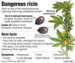 Image result for Ricin