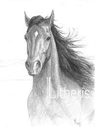Disegni A Matita Cavalli Ricerca Google Horse Drawings Horses Horse Painting