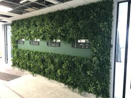 Artificial ivy fence could be used anywhere you need it, the leaves are normally made of new. Artificial Green Wall Panel With Variegated Foliage Ivy Palms Grasses Greenplantwalls Co Uk