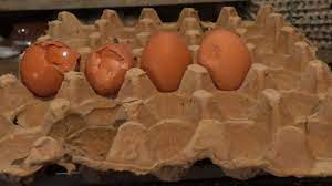 Telur ayam nutrisi telur, telur, makanan, ayam, pecahan telur png. Harga Telur Ayam Mahal Banget Warga Di Cimahi Pun Memilih Membeli Telur Ayam Pecah Lebih Murah Tribun Jabar