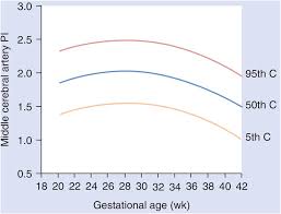 Normal Values Section 8 High Risk Pregnancy