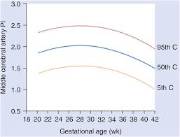 Normal Values Section 8 High Risk Pregnancy