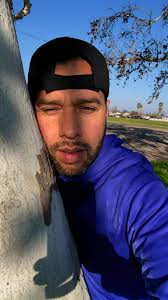 Abrasa un árbol 🌲