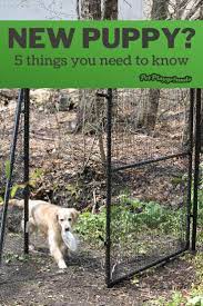 Just Got A New Pup Here S A Few Things You Should Know Dog Fence Diy Dog Fence Dogs