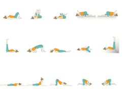 Restorative yoga is known for its reliance on props such as bolsters, blocks, or folded blankets to make poses gentler and more supportive. Restorative Yoga Sequences Foundational Sequences For Yoga Teachers Tummee Com