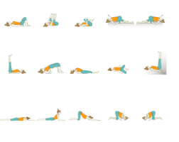 We did not find results for: Yoga Sequences Foundational Sequences For Yoga Teachers Tummee Com