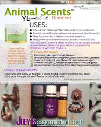 Essential Oils For Animals Essential Oils Essential Oils Dogs Myrrh Essential Oil