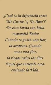 Pin On 1001 Frases De La Vida