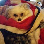 Berta Doyle's Instagram, Twitter & Facebook