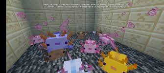 See full list on minecraft.fandom.com Who Knew A White Baby Axolotl Would Turn Blue Minecraft