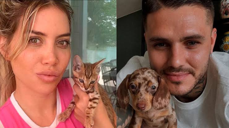 La furia de los veterinarios porque Wanda Nara y Mauro Icardi abandonaron a  sus mascotas en Turquía | Ciudad Magazine