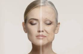 星游早报：新自瞄物理外挂诞生；研究表明年轻小鼠粪便具抗衰老功效