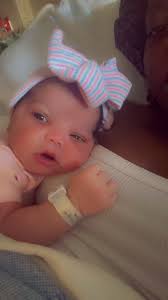 Introduction of Maya Marz, a new pet dog