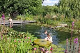 Schwimmteich In Grossbritannien Unter Trauerweide Schwimmteich Naturschwimmbecken Schwimmbader Hinterhof