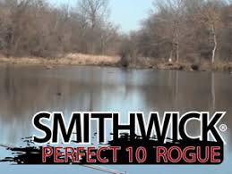 Perfect 10 Erie Outfitters Smithwick Perfect