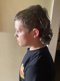 A cut above: See our Kid Mullet Cup entries so far