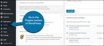 Pwa for wp & amp. How To Disable Google Amp For Wordpress Websites Greengeeks