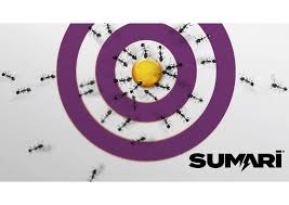 Revenue streams of the industry evaporated. Mgk Insect Control Solutions Pesticide R D Manufacturing