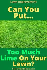 Too Much Lime On Your Lawn Lime For Lawns Lawn Lawn Care Tips