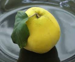 We did not find results for: Aromatnaya Quince Fruit Trees For Sale Order Online