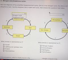 What are the main sources of phosphorus in the phosphorus cycle? Which One Is Nitrogen Cycle Or Phosphorus Cycleunlike Chegg Com