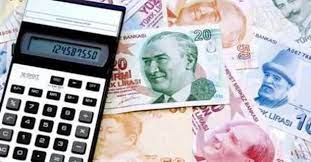 Bu numara vergi dairesinden alınan yapılandırma ödeme planında yer alır. Vergi Borc Yapilandirmada Son Gun Vergi Borcu Odeme Ekrani Nasil Girilir Takvim