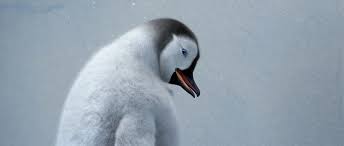 See more ideas about penguins, happy feet, animals beautiful. Best Of The 2000 S 3 George Miller S Happy Feet The Filmist