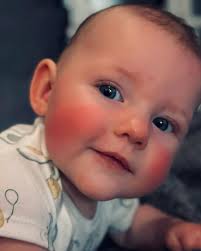 Megan Horner (@mmch123) • Instagram photos and videos