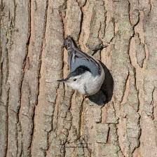 Profile for John Overman Photography