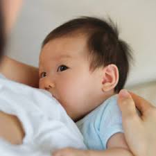 BARBARA BORKOWSKA: Premier Lactation Services