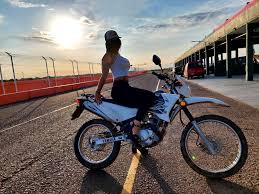 Profile for Luz Arguello